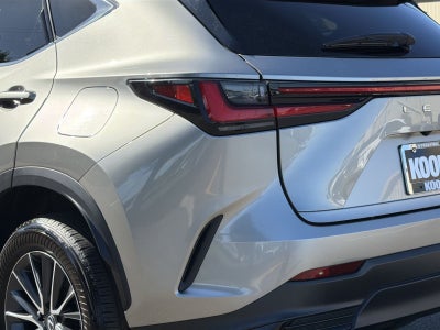 2024 Lexus NX 350 Base