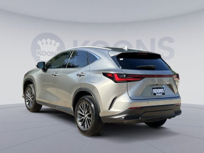 2024 Lexus NX 250 Premium