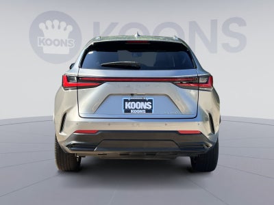 2024 Lexus NX 250 Premium