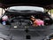 2025 Kia Carnival Hybrid EX